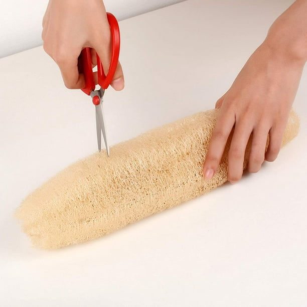 Esponja de baño de lufa de ducha de 2.47 oz - Paquete de 4 esponjas de  malla de nailon suave grande para lavado corporal, esponja de lufa  exfoliante