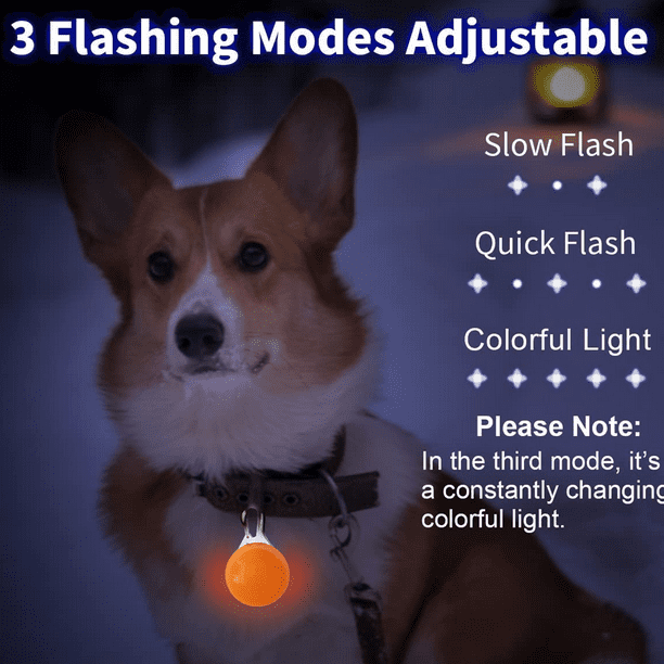 Luz de perro para caminar de noche, luz de collar de perro recargable con  clip USB MFZFUKR CPB-US-YY20-7