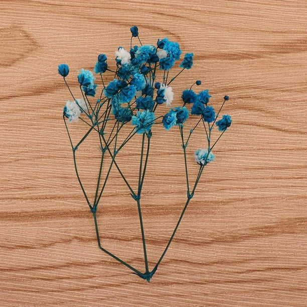 6 Piezas De Gypsophila Paniculata Artificial En Azul, Moda de Mujer