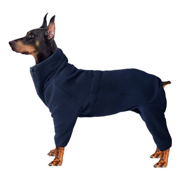 Ropa gruesa de algod n de cuatro esquinas para oto o e invierno abrigo impermeable para perros cha oso de fresa Electr nica