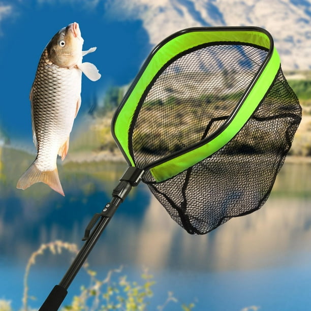  Ego S One Slider - Red de pesca con mango fijo para  herramientas de pescadores, cabeza reemplazable, agua salada y dulce, aro  de 19 x 21 pulgadas : Deportes y Actividades