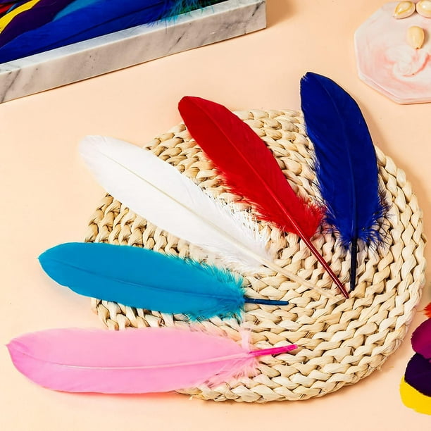  SELCRAFT Plumas para manualidades, 160 piezas de plumas de  ganso de colores mezclados, hermosas plumas de cisne natural, accesorios de  decoración de sombrero de 3.1-4.7 in de largo para manualidades de