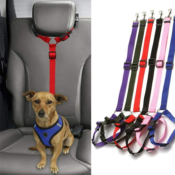 Cinturones de Coche para Perros, Cinturones de Seguridad