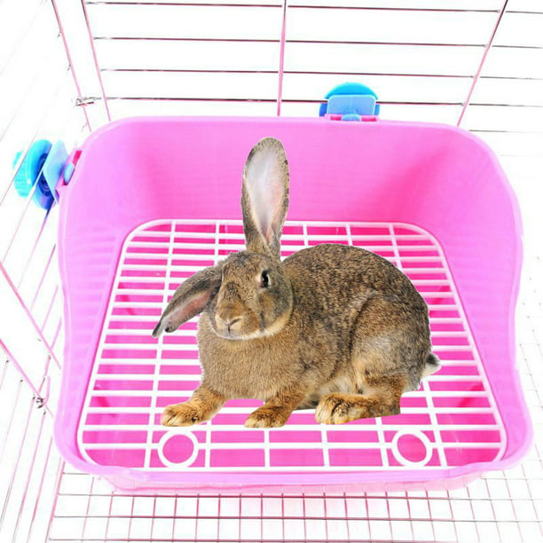 Paquete de 2-3 bandejas de caja de inodoro de conejo, orinal pequeño para  mascotas, bandeja de caca de conejillo de , color rosa 2 piezas Zulema  Inodoro con bandeja de arena
