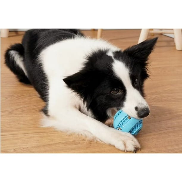 Juguete interactivo para perros, juguetes de bolas de limpieza de