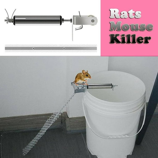 Trampa para ratas casera 