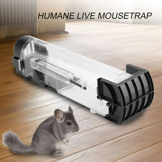 Paquete de 4 trampas humanas para ratones en interiores para el hogar,  trampas para ratones vivos que no matan, reutilizables para ratones  pequeños