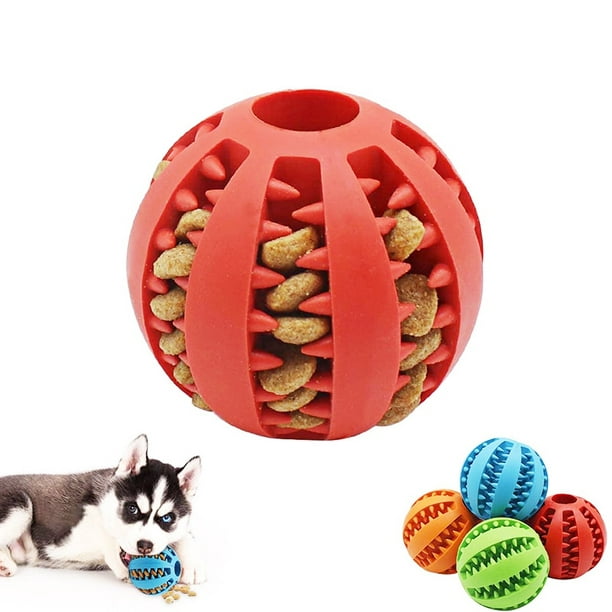 Pelota interactiva elástica para perros pequeños, juguete masticable para  cachorros, Limpieza de die La Vida Bella