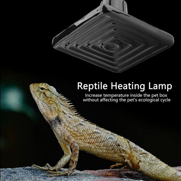 Calefaccion para reptiles