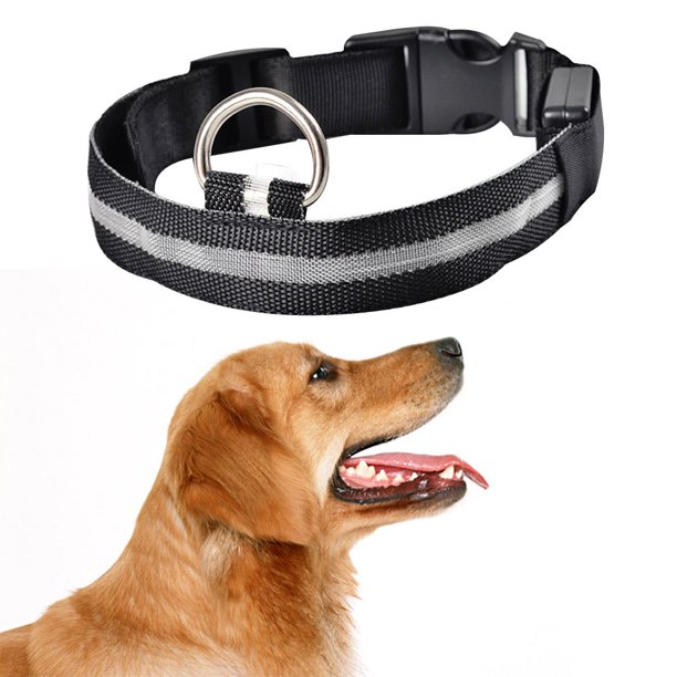 Collar de luz Led antipérdida para perros y cachorros, suministros