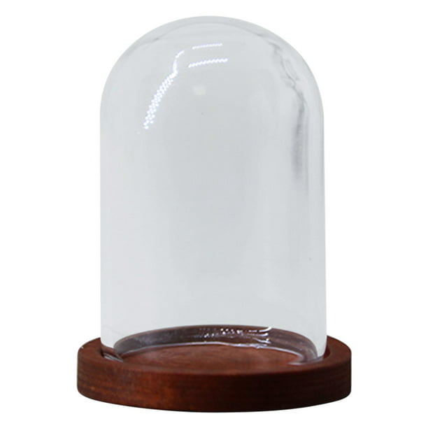 4 piezas de cúpula de cristal a prueba de polvo, jarrón de plantas  decorativas en miniatura domo marrón Yuyangstore Cúpula transparente