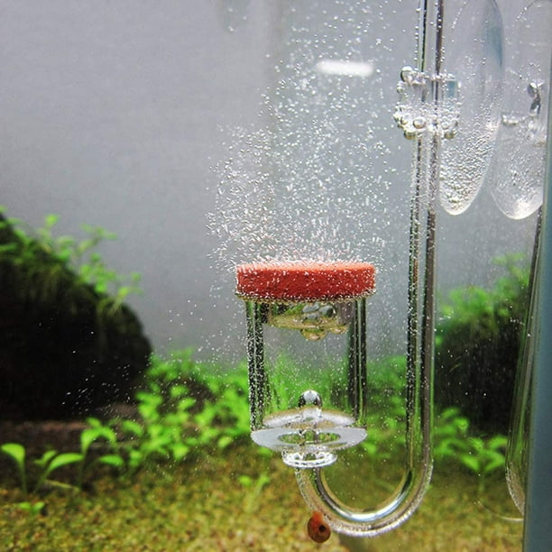 Difusor de atomizador de CO2, acuario acrílico, dióxido de carbono,  contador de burbujas transparent TUNC Sencillez
