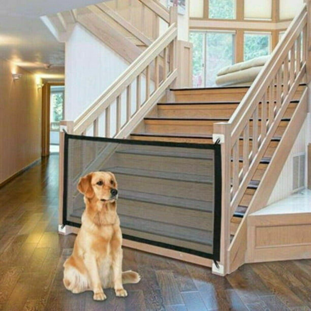 Puerta de Seguridad de acero para perros - adiestramiento-perros