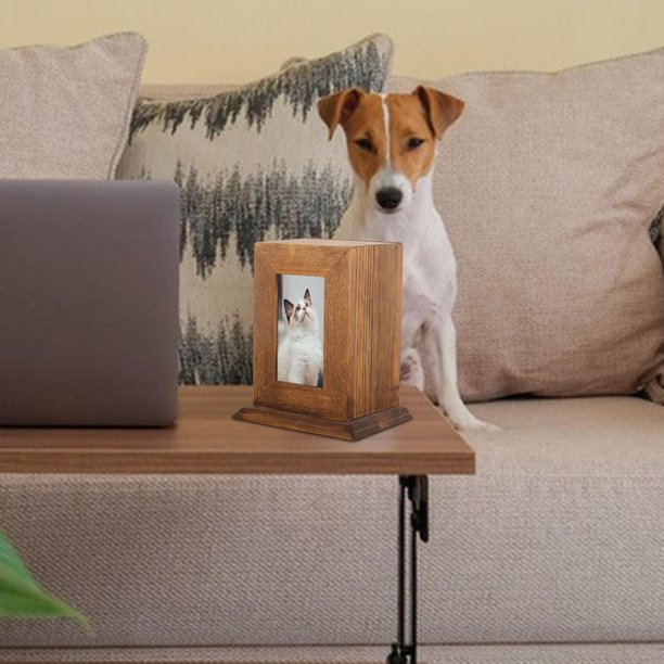 pueden los perros reconocer las cenizas cremadas