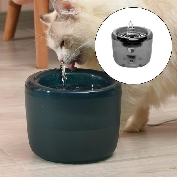 Comprar Cable USB/fuente de agua para gatos con Sensor de movimiento,  dispensador para perros, filtro, bebedero automático, alimentador de  mascotas de acero inoxidable