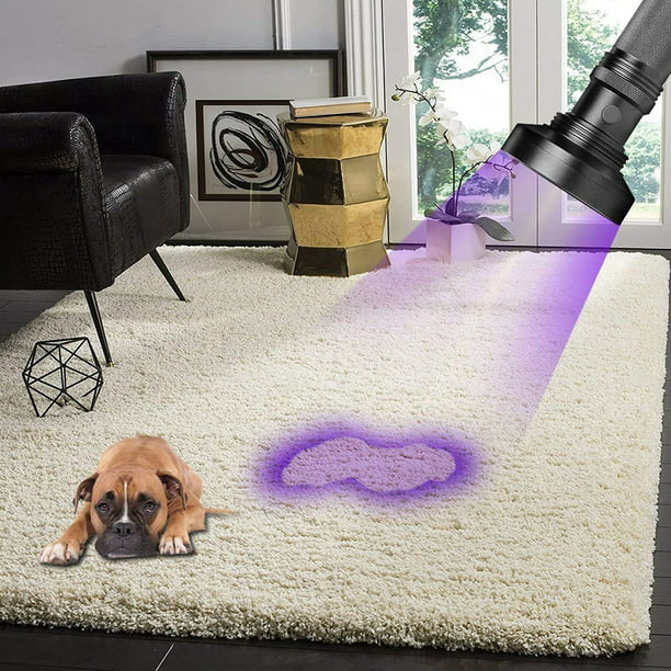 Linterna de luz negra ultravioleta, la mejor luz ultravioleta y luz negra  para la inspección del hogar y el hotel, orina y manchas de mascotas: los  LED de ultra intensidad detectan dinero