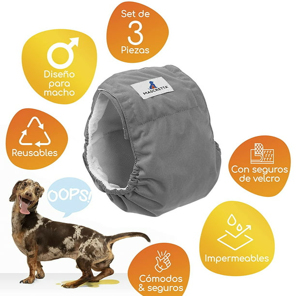 BV Pañales para perros machos S (cintura 12-19 pulgadas) súper absorbentes  – 50 unidades de pañales desechables para perros machos – Pañales para