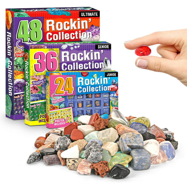 Kit de excavación Colección de minerales Rock Mineral Gem Kit para