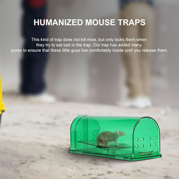 Trampa para ratas reutilizable. Segura para otros animales