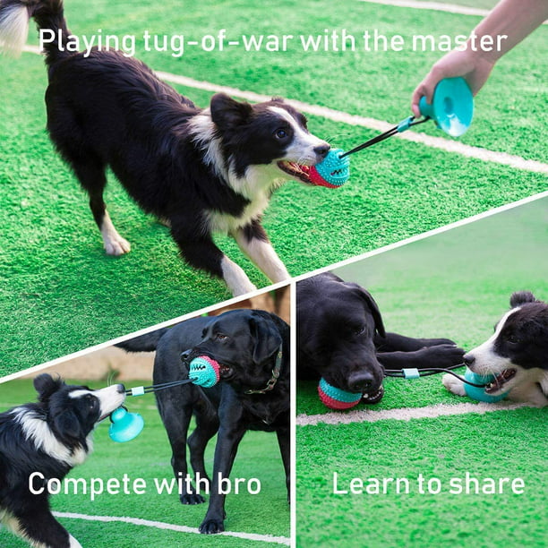Juguetes para perros para masticadores agresivos, juguetes resistentes para  masticar para perros grandes y medianos, patrón de textura de resorte de
