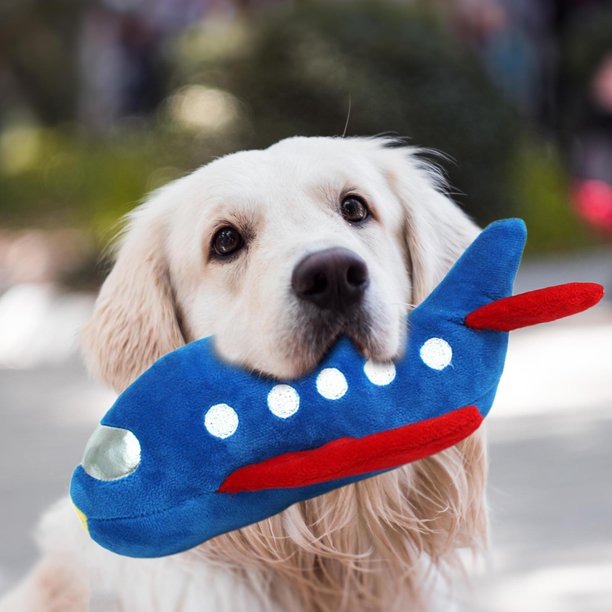 Juguetes para perros, limpieza interactiva, chirriadores de , juguete con  sonido, de entrenamiento Gloria Juguetes chirriantes para cachorros