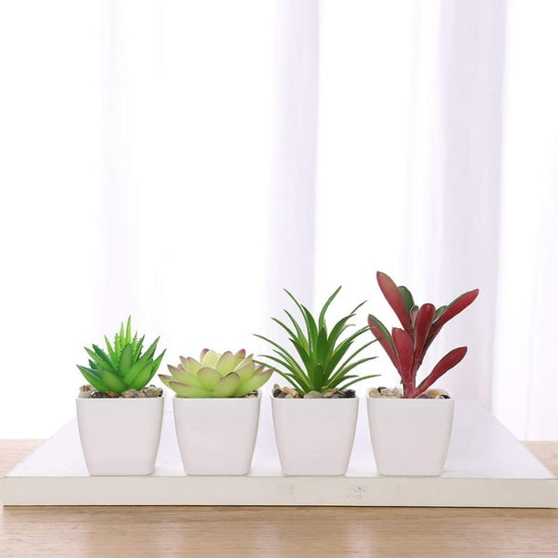 6 piezas de plantas suculentas artificiales en maceta natural en maceta  natural pequeñas plantas artificiales decoración interior para su hogar,  oficina Zhivalor YQ-0261