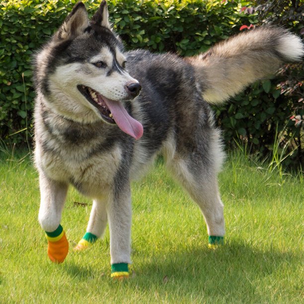 Calcetines para mascotas calcetines para perros botas de goma para perros  suministros para mascotas ANGGREK Otros