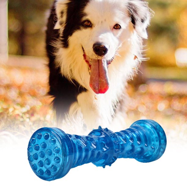 Juguetes para perros chirriantes Sonidos duraderos Juguete interactivo para  perros Juguetes para mas Salvador Masticable interactivo de animales