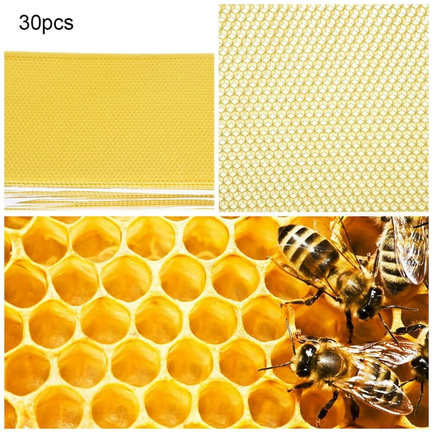 4 usos imprescindibles de la cera de abejas