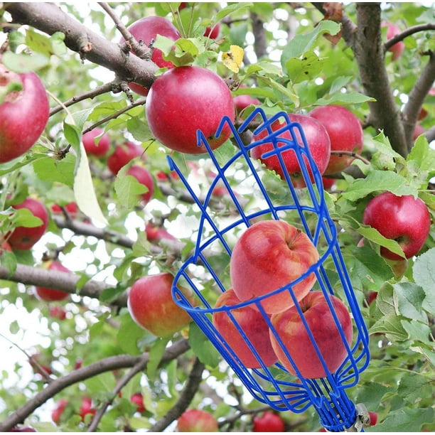 Cesta, roja)Herramienta para recoger frutas, recolector de frutas
