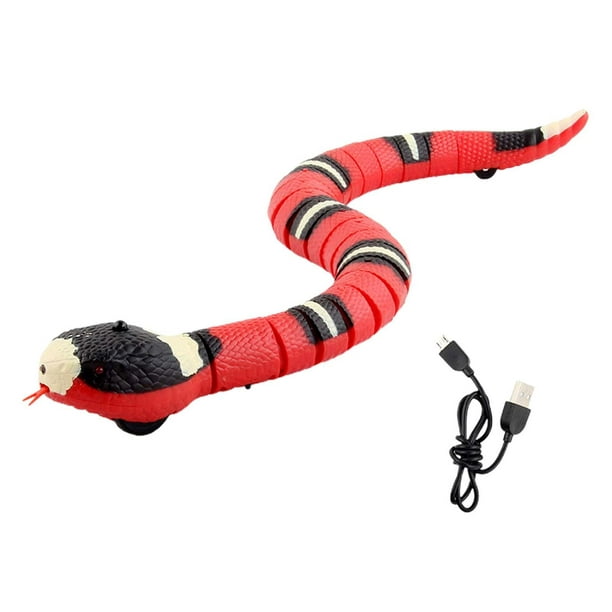 Pequeños juguetes para mascotas Detección inteligente Serpiente Juguete  Tricky Toy Gift, Simulación en Detección eléctrica Yuyangstore Serpiente  sensible