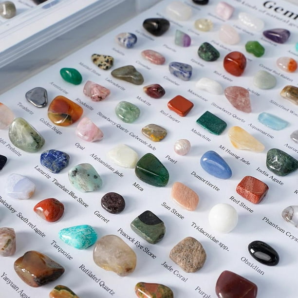80 Piezas de Piedras Preciosas con Estuche de Piedras Preciosas ños de  Fiesta Sunnimix Recolección de gemas
