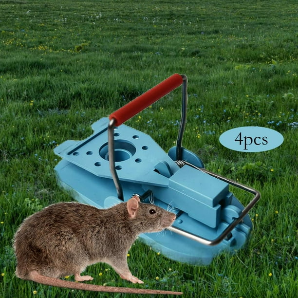 Paquete de 4 s para ratones, para la familia y las mascotas, control de  roedores, rápida y efectiva Macarena trampa para ratones