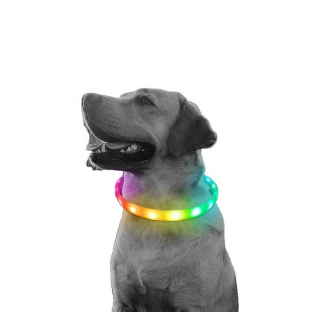 Petbank Collar de perro con luz LED, 7 colores RGB y 5 modos de luz,  ajustable recargable por USB, collares de perro que brillan en la  oscuridad