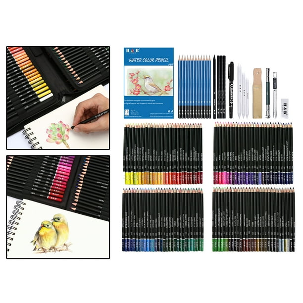 Qionew Juego de lápices de dibujo profesional paquete de 12 lápices de  dibujo artístico lápices de grafito 14B – 4H ideal para dibujar lápices de