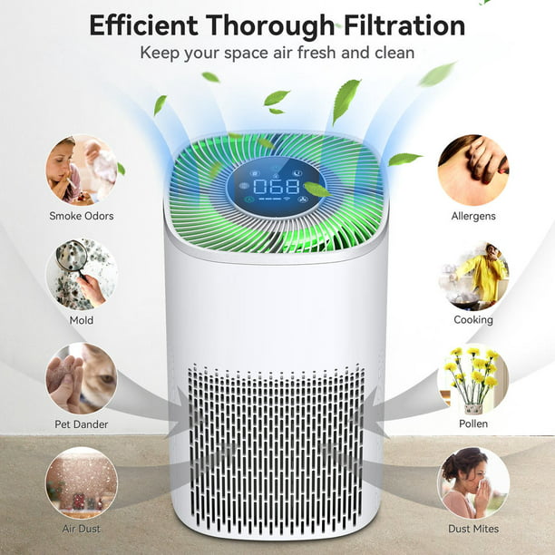 Elimina toda clase de alérgenos con este purificador de aire con más de  5,800 opiniones, Escaparate