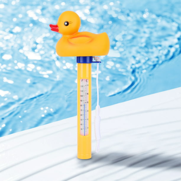 Pool Thermometer – Para Rubber
