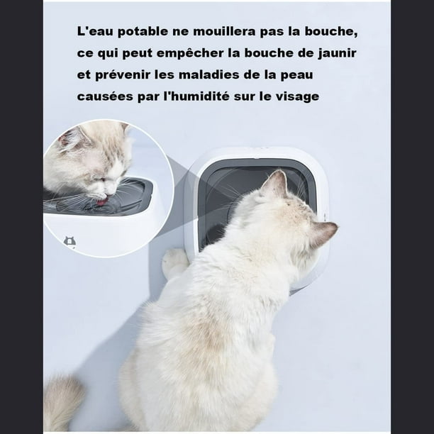Comedero Automático Para Gatos O Perros Doble con Ofertas en Carrefour