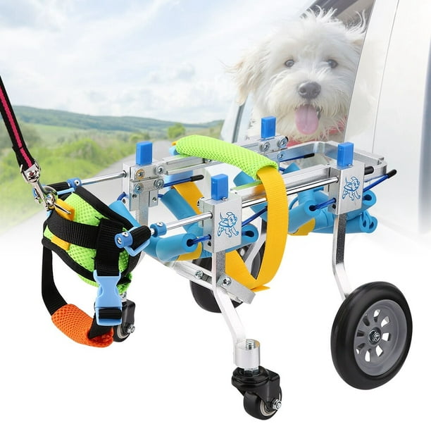 Silla de ruedas para perro de cuerpo completo con 4 ruedas, carrito para  perros para rehabilitación de patas delanteras/traseras, auto de paseo