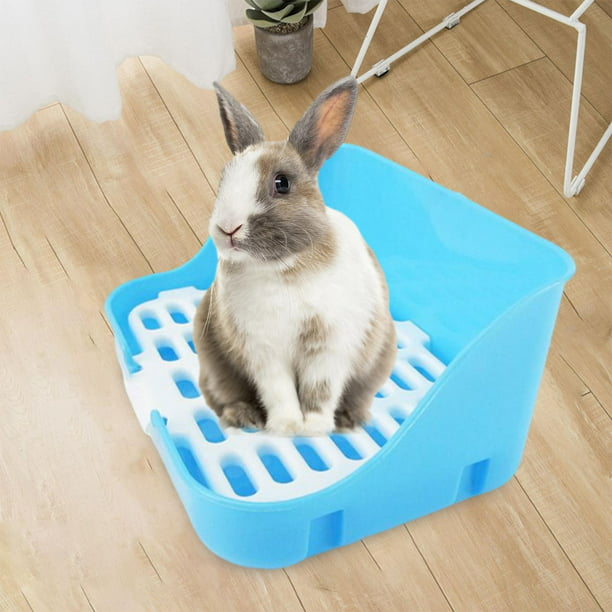 Caja de arena para conejos, jaula de plástico para mascotas, entrenador de  cajón, herramienta de limpieza de animales pequeños para hurón, , azul  Sunnimix Cajas de arena para conejos
