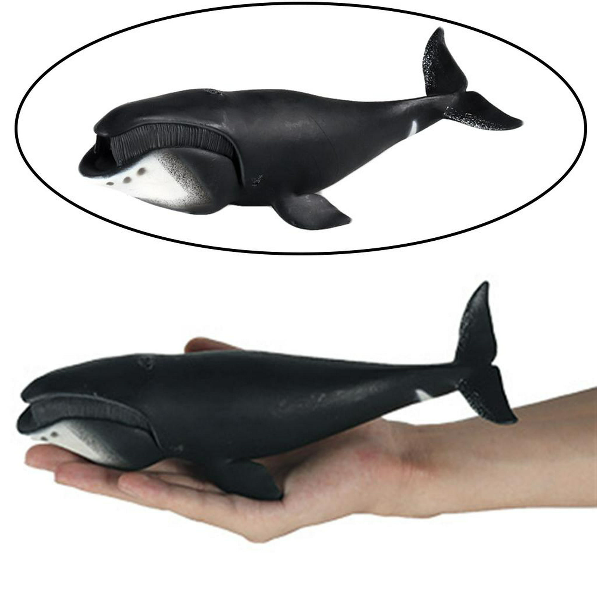 Juego de juguetes de animales marinos, 12 piezas de figuras de mar de  animales para niños, juego realista para amantes del mar, incluye gran  tiburón