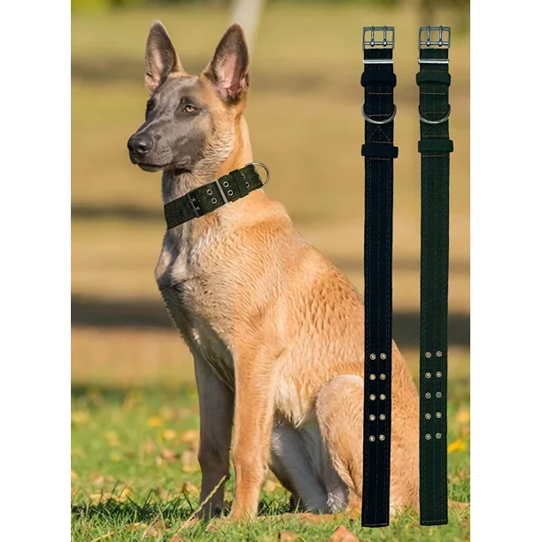 Collar de perro para perros grandes Collar de perro grueso de nylon de 1.5  de ancho Collar de perro táctico JAMW Sencillez