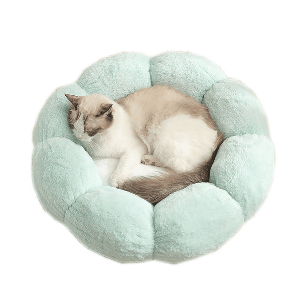 Cama discount gato invierno