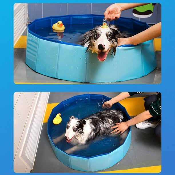 PawHut® Bañera para Perros Gatos Plegable Piscina para Mascotas Natación  Baño Φ140x30cm Color Azul