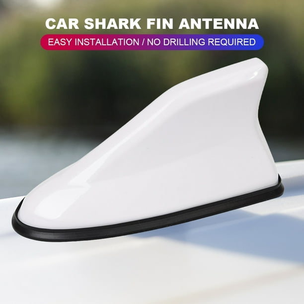 Antena de señal de Radio para coche, antena de techo fresco, antena de  tiburón para todos los estilos de coche
