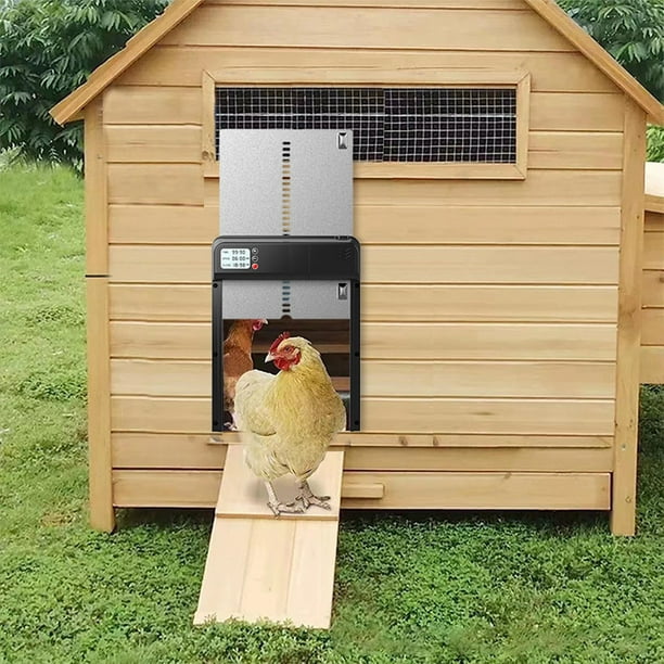 Puerta de pollo con temporizador, puerta automática de gallinero, puerta de  pollo automática con pil Ticfox