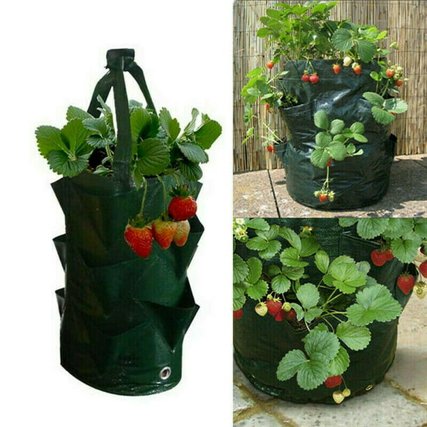 Bolsas de de colgantes 3 galones, de , bolsa de plantas de aireación para flores, shamjiam bolsas de cultivo de patatas Walmart en línea