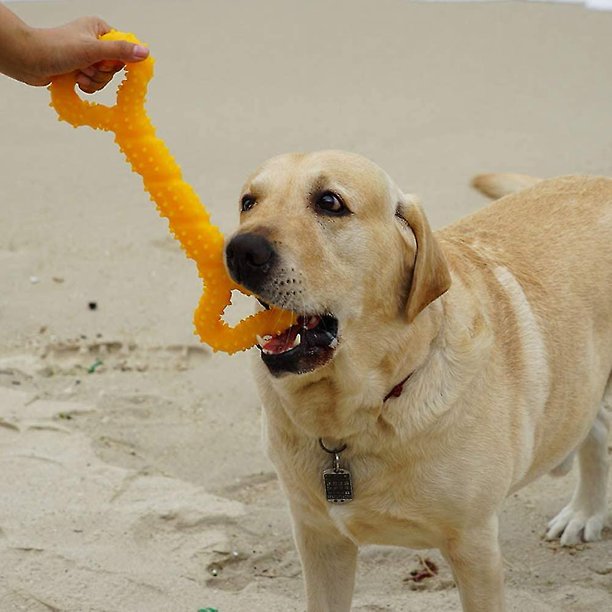 Juguete Para Perro Masticable Y Resistente De Caucho Con Sonido. Forma