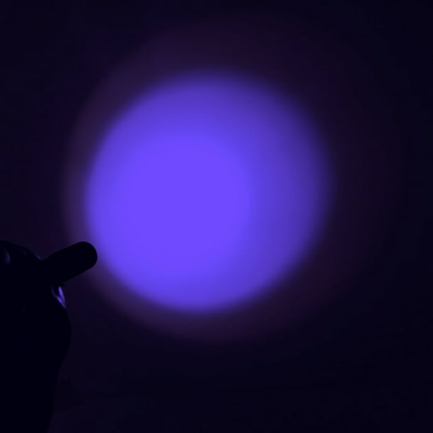 Linterna UV de 395 nm Linterna ultravioleta Detector de billetes con zoom  LED (A) Ndcxsfigh Nuevos Originales