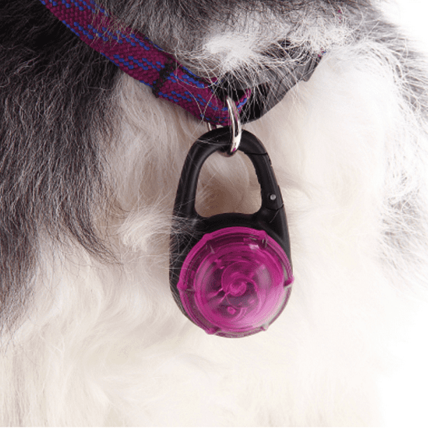 Luz de collar de perro para caminar de noche - Clip de luz de noche de perro  Flash impermeable para MFZFUKR CPB-US-YY438-4